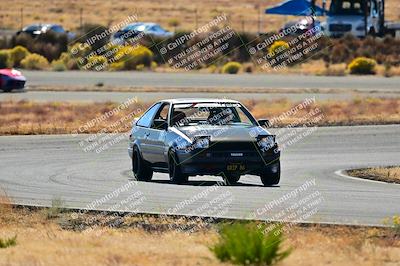 media/Nov-16-2024-Extreme Speed (Sat) [[6587d07cc4]]/Gold Group/Session 2 (Turns 3 and 5)/